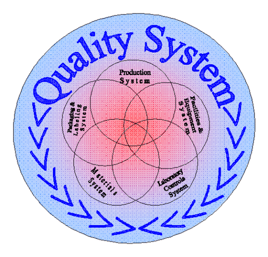 Quality Management System (QMS)